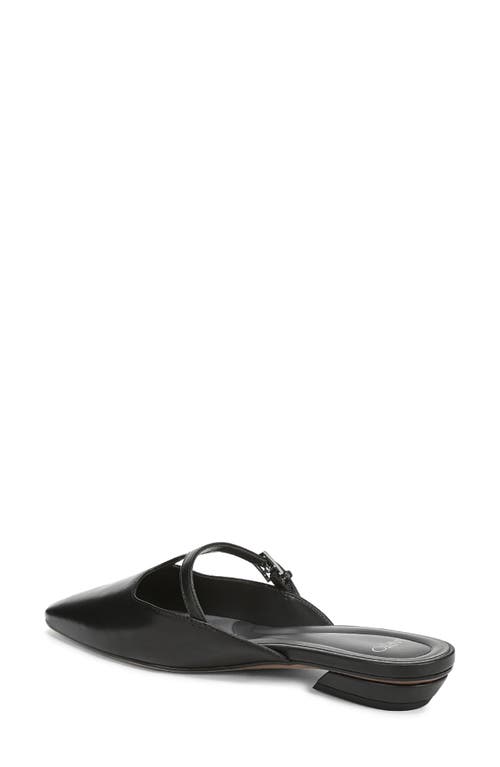 Sarto By Franco Sarto Dorthea T-strap Mule In Black