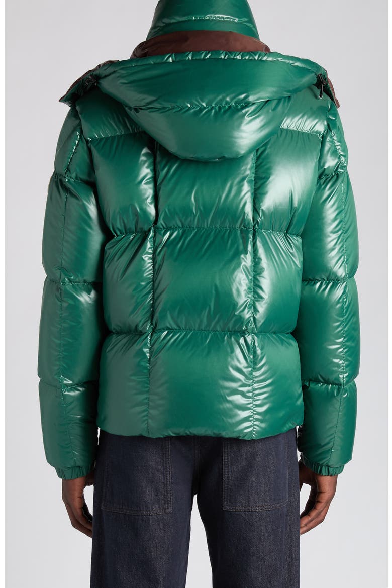 Parana Down Jacket with Removable Hood, Alternate, color, BISTRO GREEN