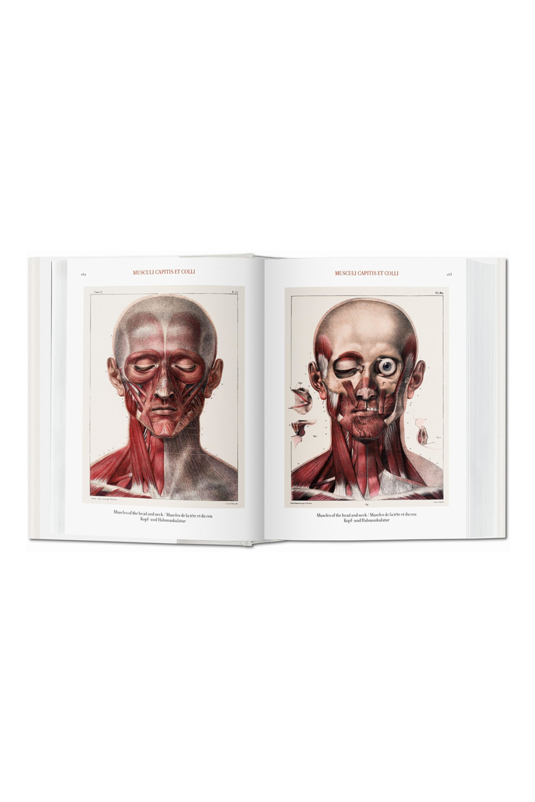 Bourgery Atlas of Human Anatomy and Surgery English French German Book, Alternate, color, multicolor
