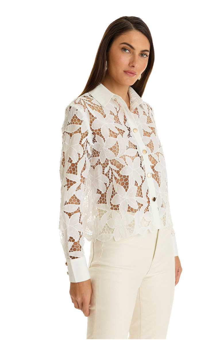 The Noli Shop Mina Lace Blouse, Alternate, color, 