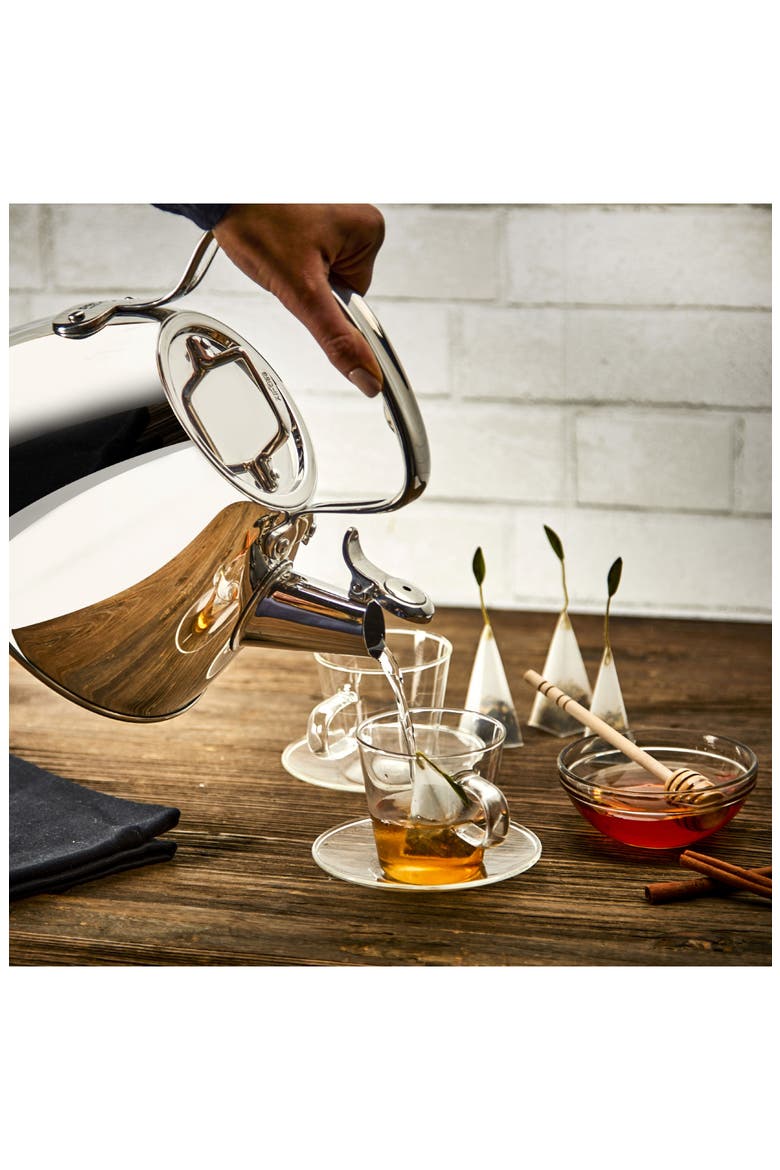 2-Quart Stainless Steel Tea Kettle, Alternate, color, STAINLESS STEEL