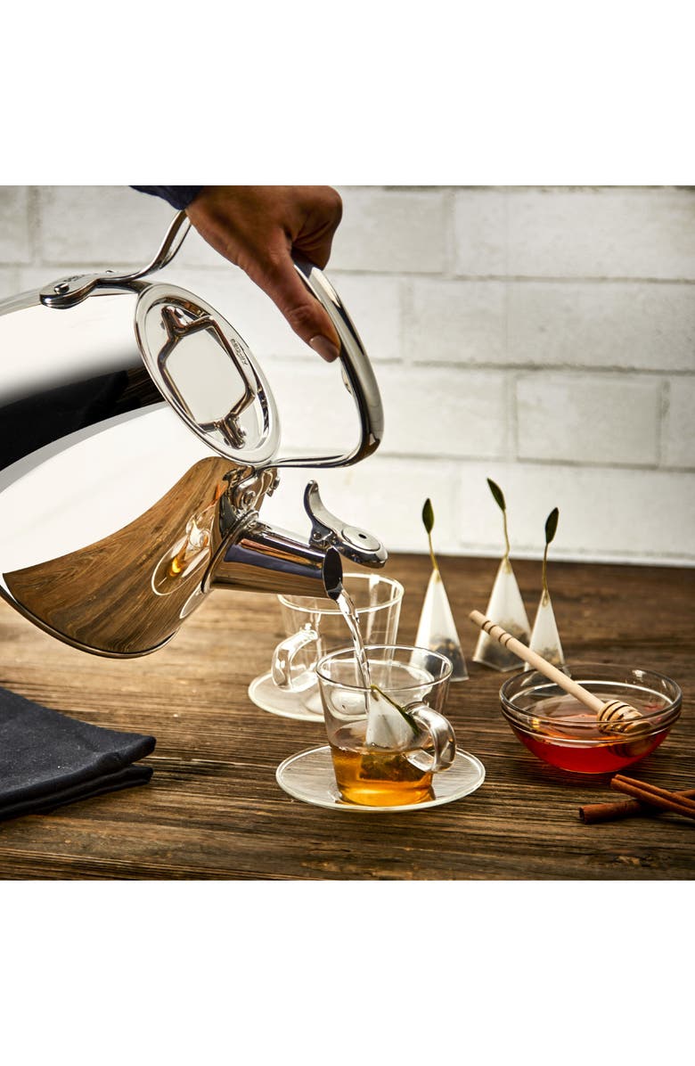 All-Clad 2-Quart Stainless Steel Tea Kettle, Alternate, color, Stainless Steel