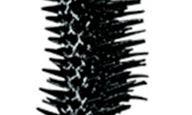 selected 01 BLACK