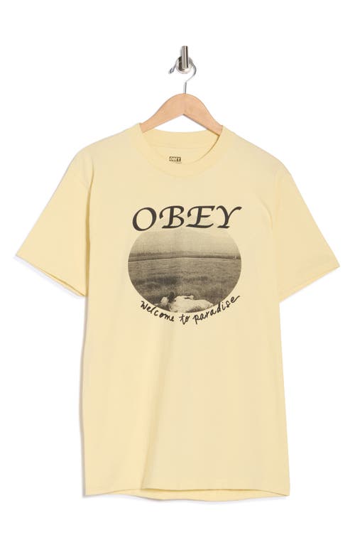 Obey Welcome To Paradise Graphic T-shirt In Yellow