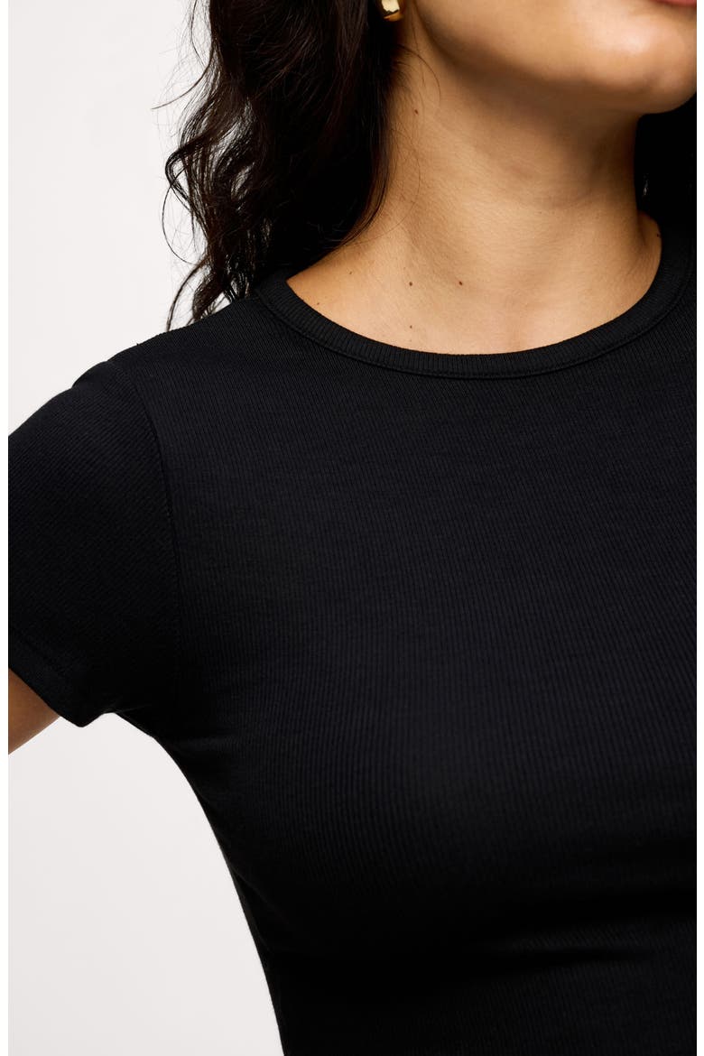 Slinky Rib Crewneck T-Shirt, Alternate, color, BLACK