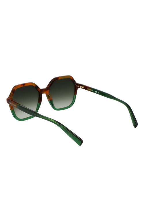 Longchamp Heritage 56mm Gradient Modified Rectangular Sunglasses In Brown Green Havana/green