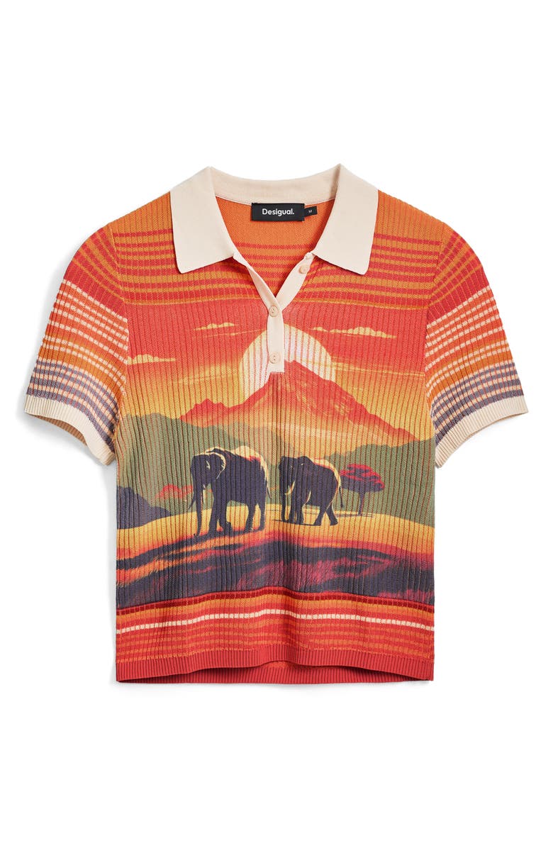 Desigual Stripe Scenic Rib Graphic Polo, Alternate, color, 