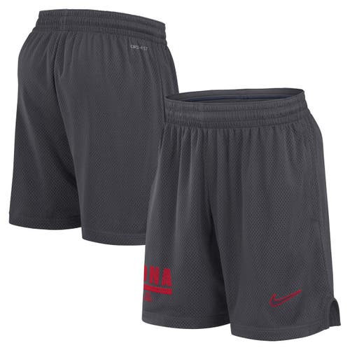 Nike Anthracite Arizona Wildcats 2024 Sideline Performance Mesh Shorts In Anthracite