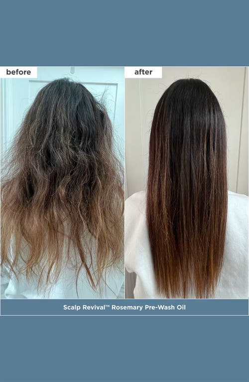 Briogeo Scalp Revival™ + Don't Despair, Repair!™ Healthy Hair Delights Set In Transparent
