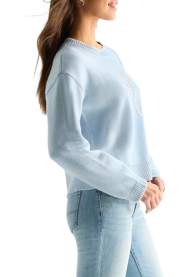 Embroidered Fish Sweater, Alternate, color, SKYWAY