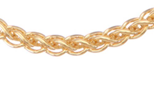 Fuzion Creations Wheat Chain Necklace In Yellow