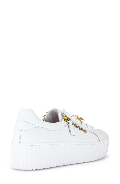 Gabor 63.201 Platform Sneaker In White