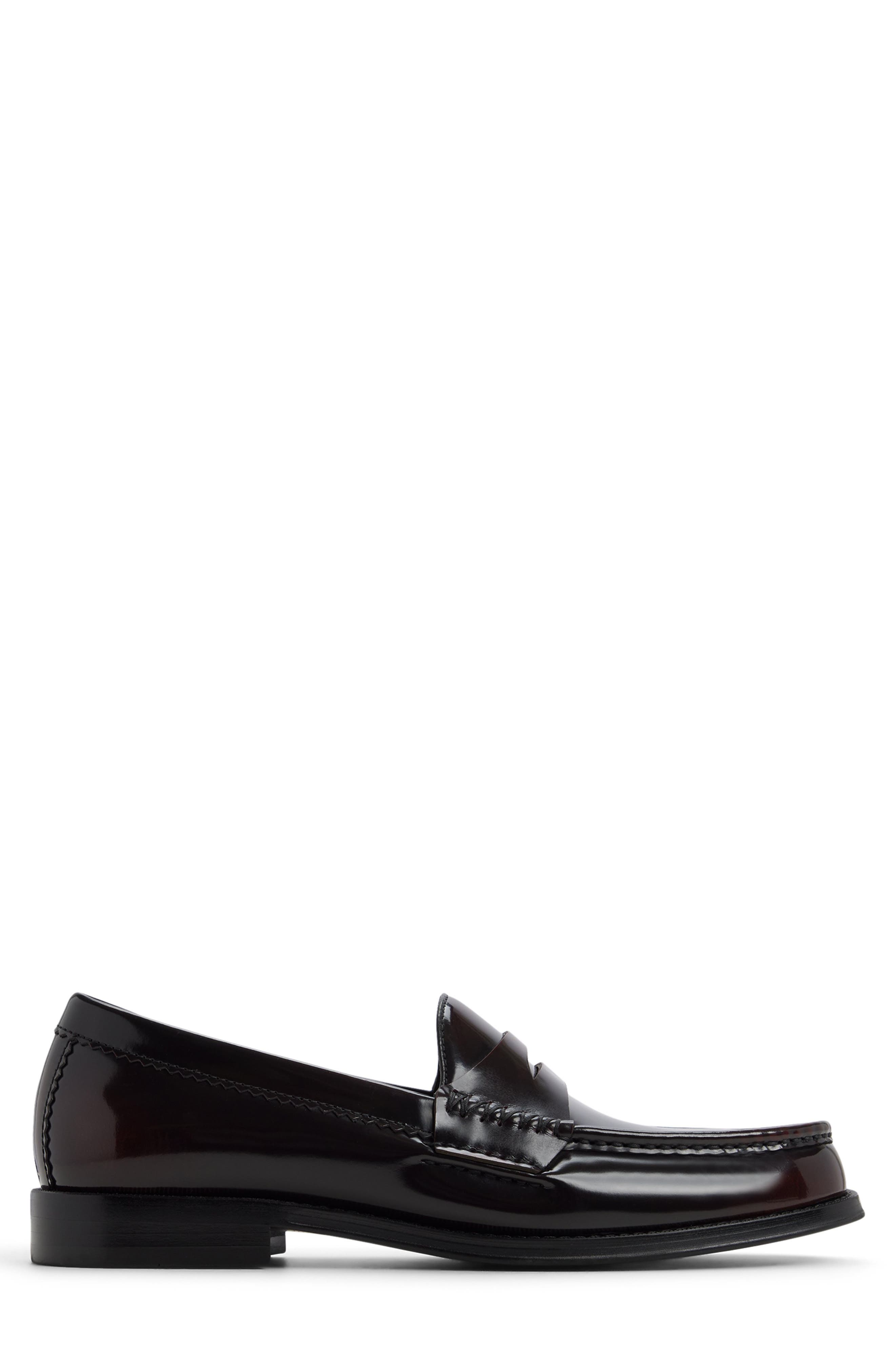 ALDO Ludovik Penny Loafer, Alternate, color, 