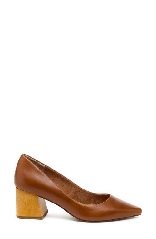 Kelsi Dagger Brooklyn Pointed Toe Pump In Fox