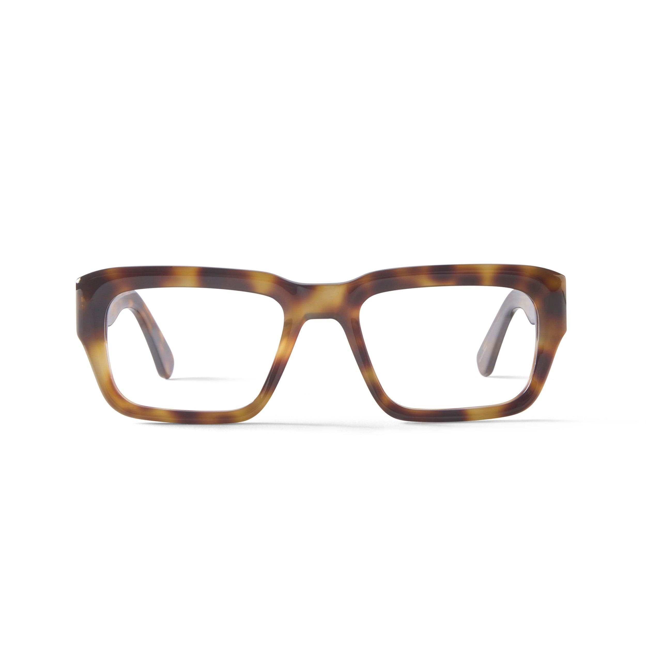 Tortoise / Brown