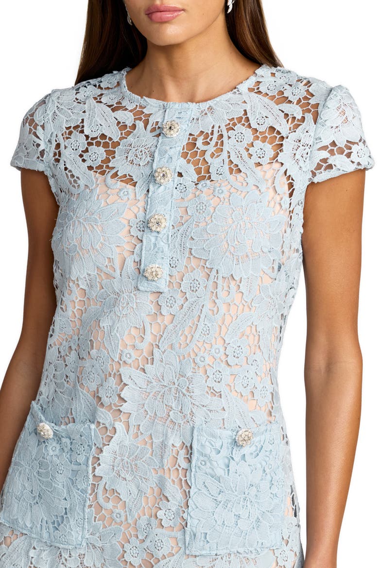 Lace Cap Sleeve Floral Applique Mini Dress, Alternate, color, Powder Blue