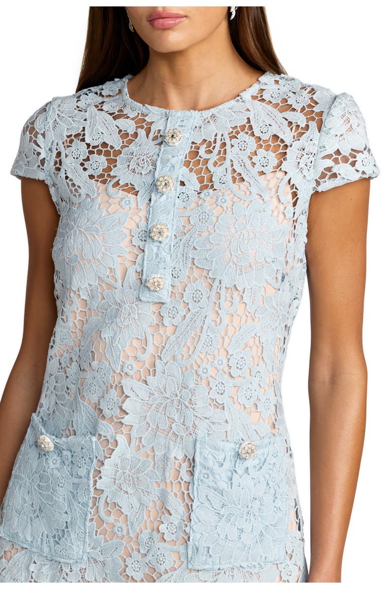 Mac Duggal Lace Cap Sleeve Floral Applique Mini Dress, Alternate, color, Powder Blue