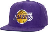 Mitchell & Ness Men's Mitchell & Ness Purple Los Angeles Lakers Sweet Suede Snapback Hat