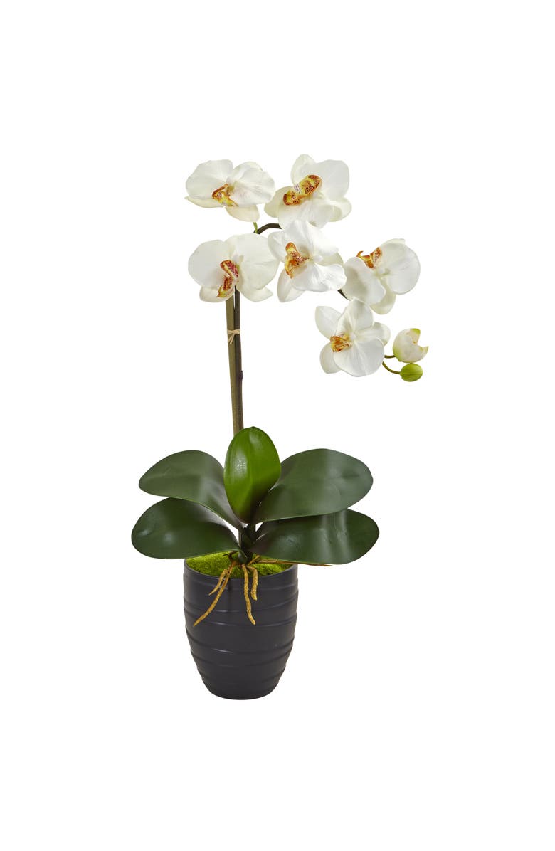 NEARLY NATURAL Phalaenopsis Orchid in Black Vase, Main, color, Cream
