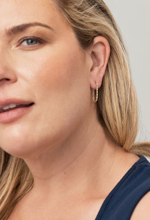 Electric Picks Tara Chain Hoop Earrings