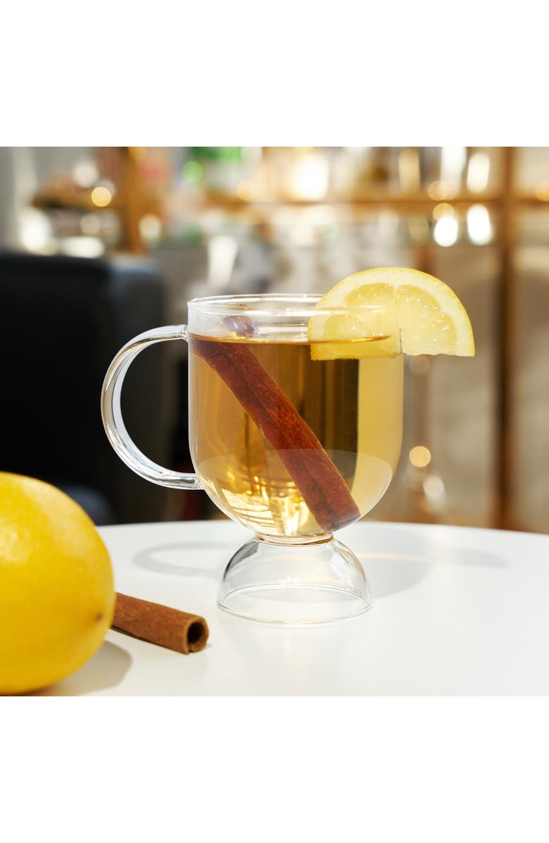 Viski Raye Hot Toddy Glasses Set of 2, Alternate, color, Clear