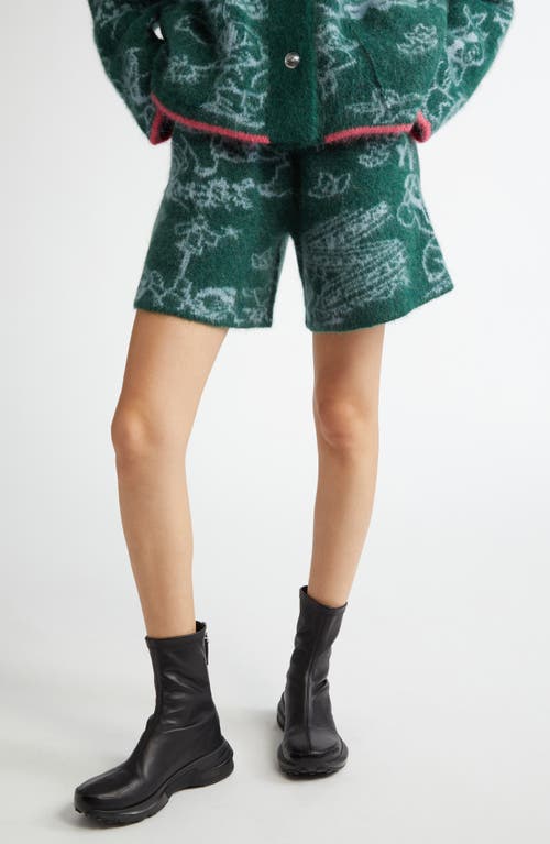 Yanyan Fuzzy Laza Alpaca & Wool Blend Shorts