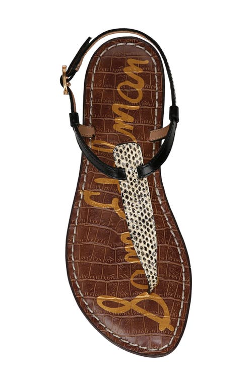 Sam Edelman Gigi Sandal In Wheat Multi