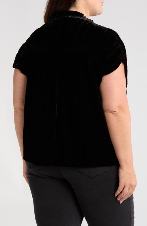 Wit & Wisdom Ruffle Velvet Top