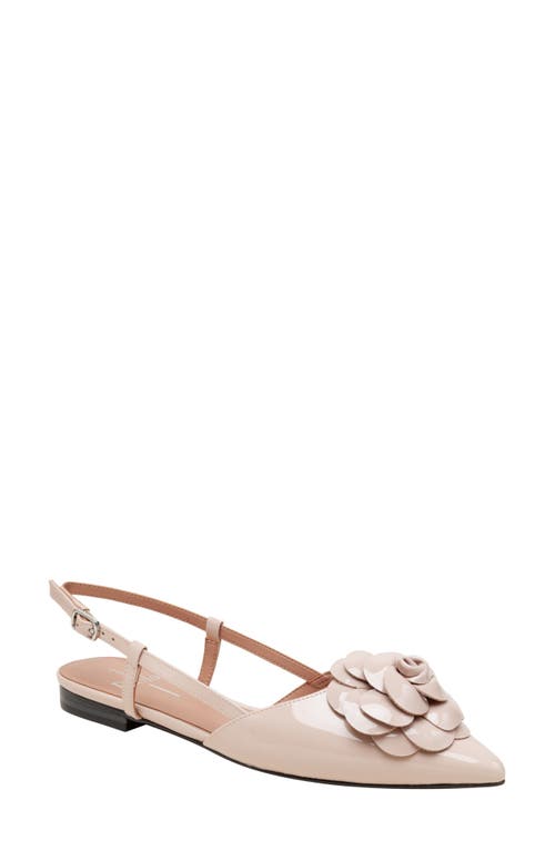 Linea Paolo Cammy Slingback Pointed Toe Flat in Beige  product