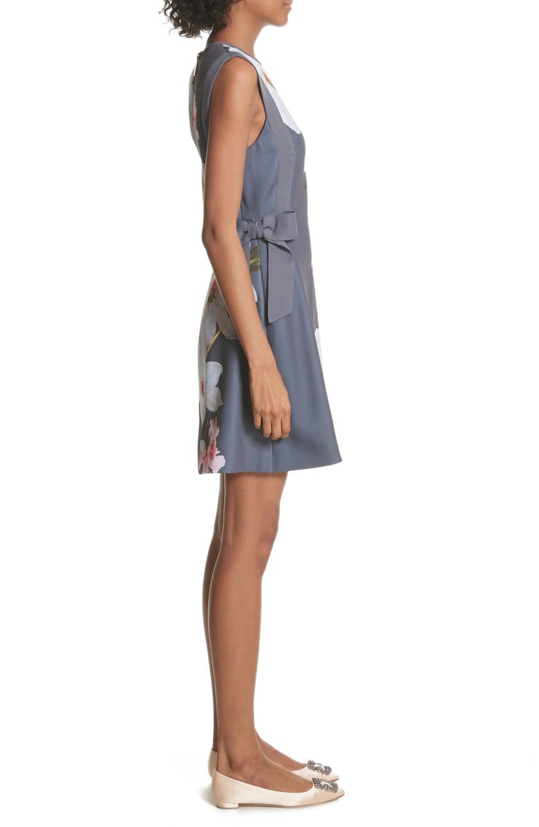 Ted Baker London Chatsworrth A-Line Dress, Alternate, color,