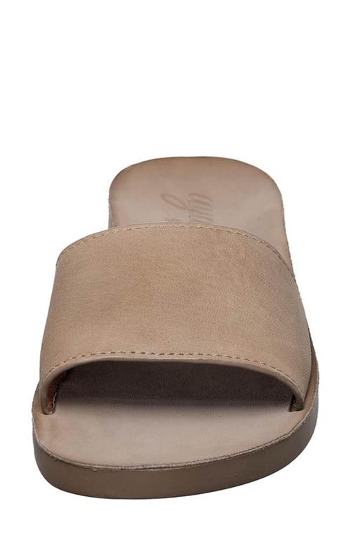 Antelope Adica Slide Sandal In Grey