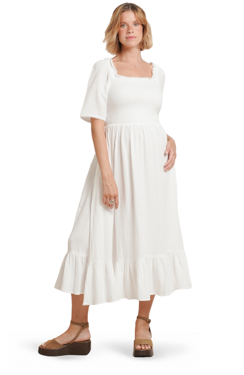 Raquel Maternity & Nursing Dress