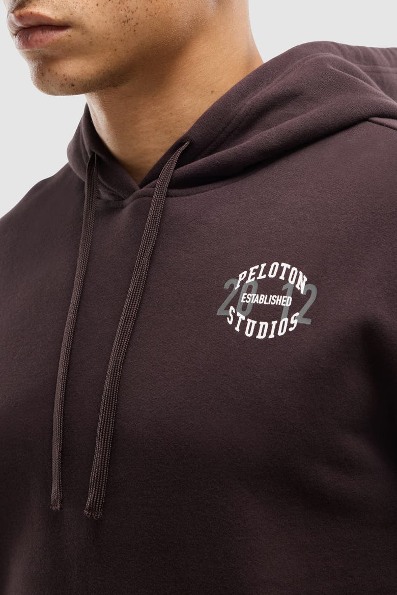 Soft Fleece Hoodie, Alternate, color, Cocoa
