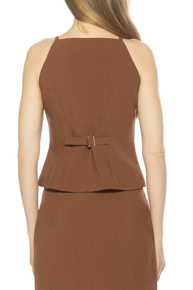 Ziv Button Front Vest, Alternate, color, BROWN
