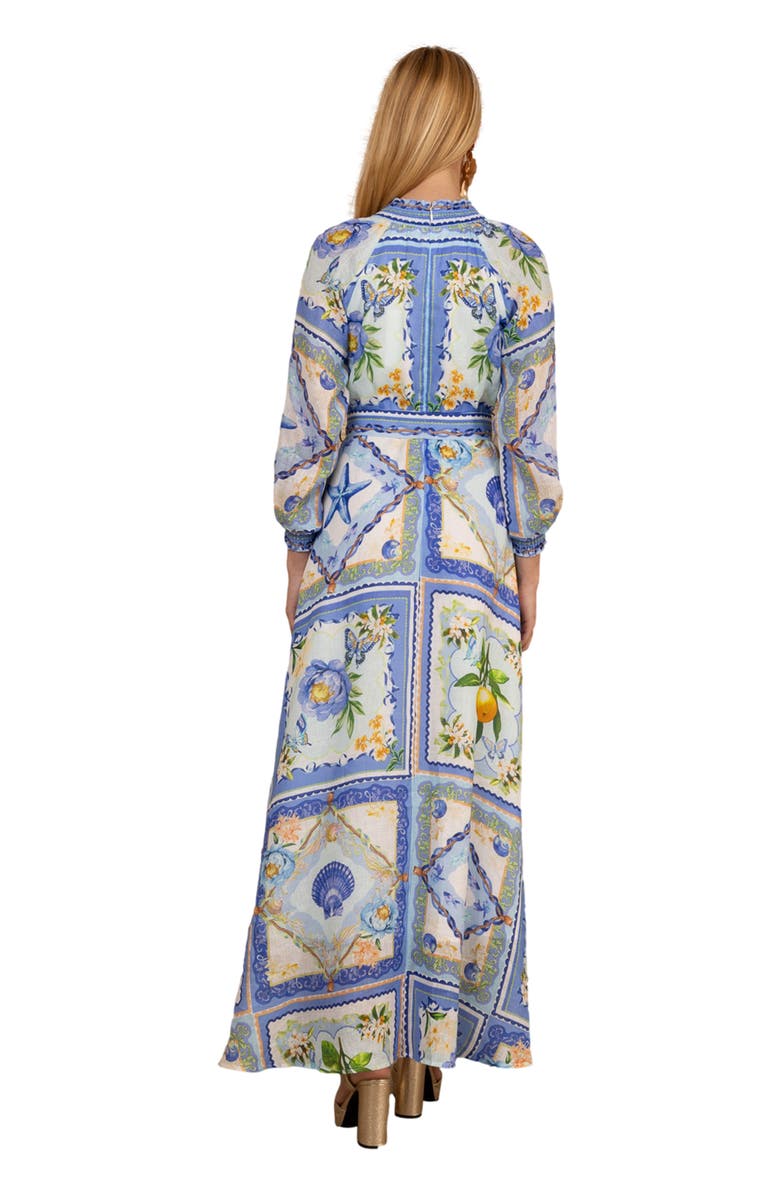 Hale Bob Lakelynn Linen Maxi Dress, Alternate, color, Blue