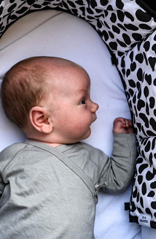 Etta Loves Animal Print Sensory Strip In Animal Print Mixed