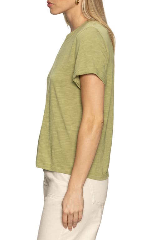 Sanctuary Perfect Roll Sleeve Cotton T-shirt In Green