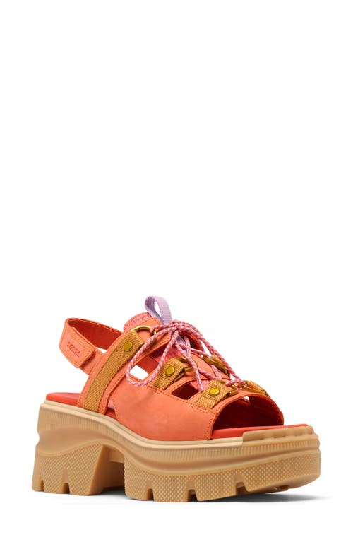 Sorel Rein Cb™ Lace-up Platform Sandal In Tuscan/gum