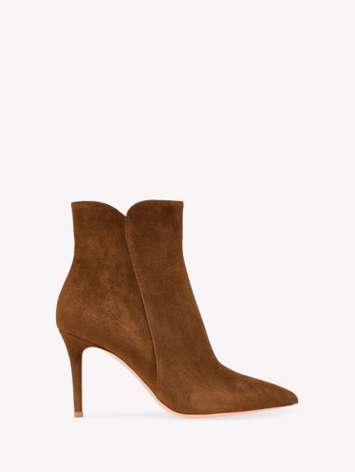 Gianvito Rossi Levy 85 Bootie