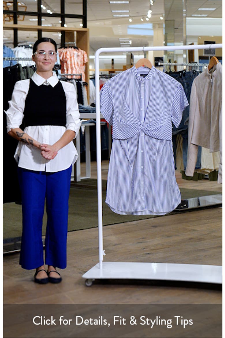 Gretchen Stripe Poplin Shirtdress video