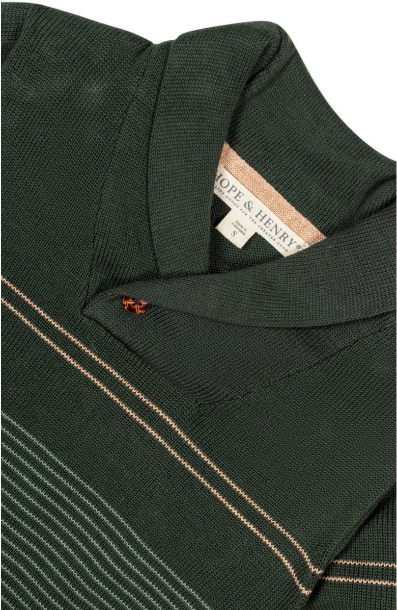 Hope & Henry Kids' Organic Long Sleeve Striped Shawl Collar Sweater, Alternate, color, Pine And Sage Stripe