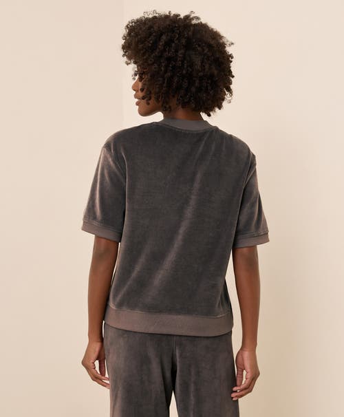 Pact Organic Cotton Pure Velour Sweatshirt Tee In Gray