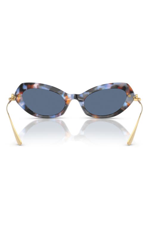 Dolce & Gabbana Dolce&gabbana 52mm Butterfly Sunglasses In Havana Blue