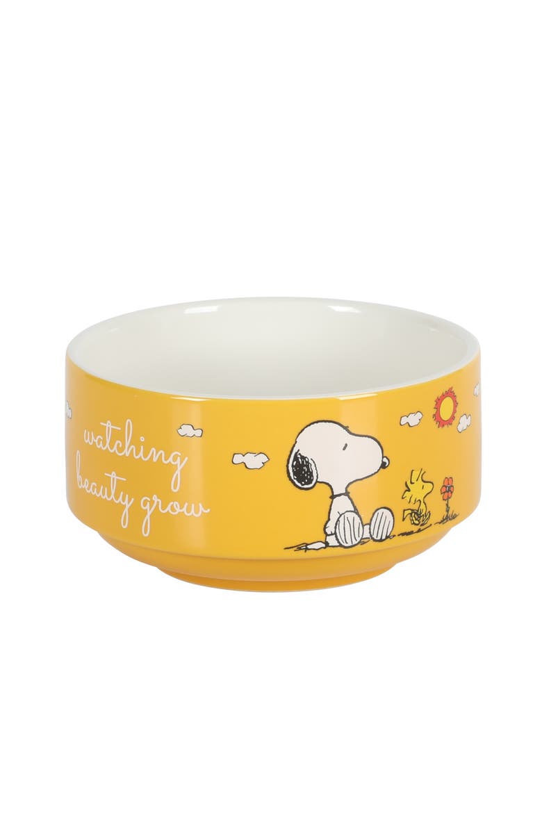 Snoopy's Garden Patch Stackable Stoneware Bowl Set, Alternate, color, Assorted Colors