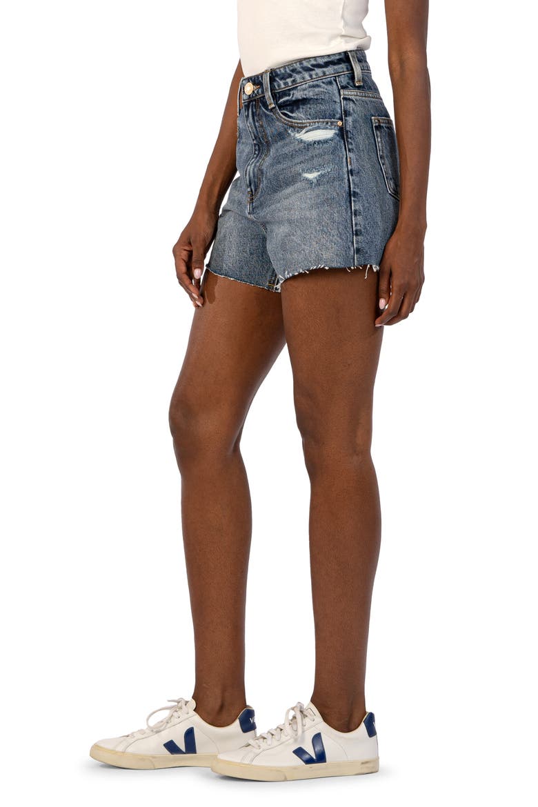 Taylor Distressed High Waist Cutoff Denim Shorts, Alternate, color, FACILITATED BLUE