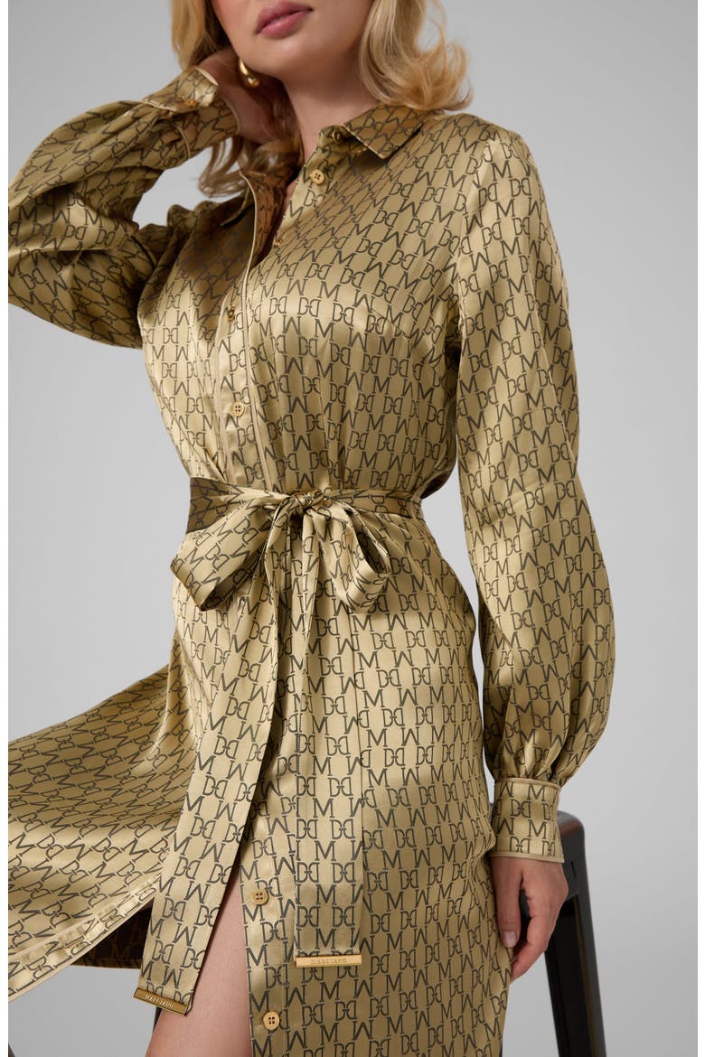 Sienna Belted Long Sleeve Shirt Dress, Alternate, color, GOLD
