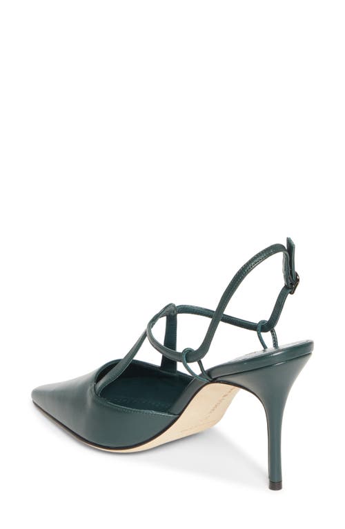 Manolo Blahnik Minia Pointy Toe T-bar Pump (women0 In Green