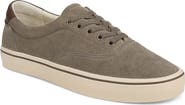 Vince Seaside Low Top Sneaker