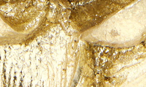Next Golden Magnolia Flower Hurricane Candle Holder In Gold