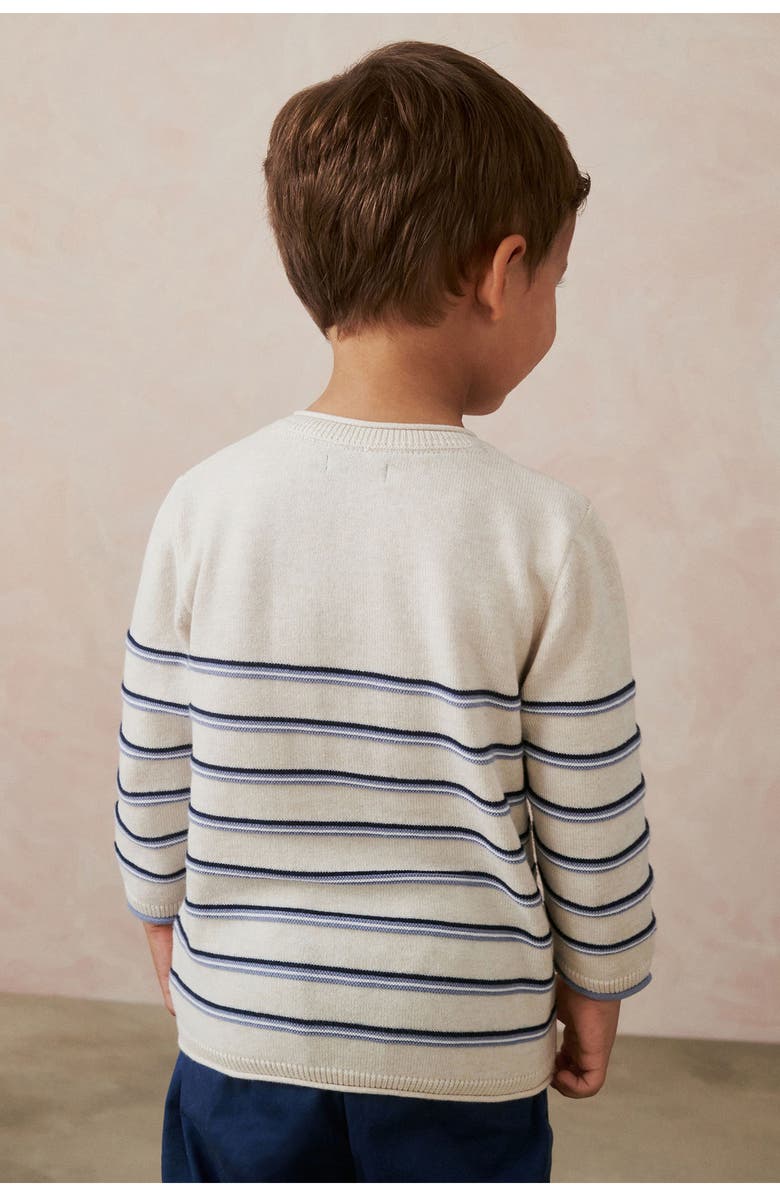 NEXT Kids' Stripe Cotton Henley Sweater, Alternate, color, 